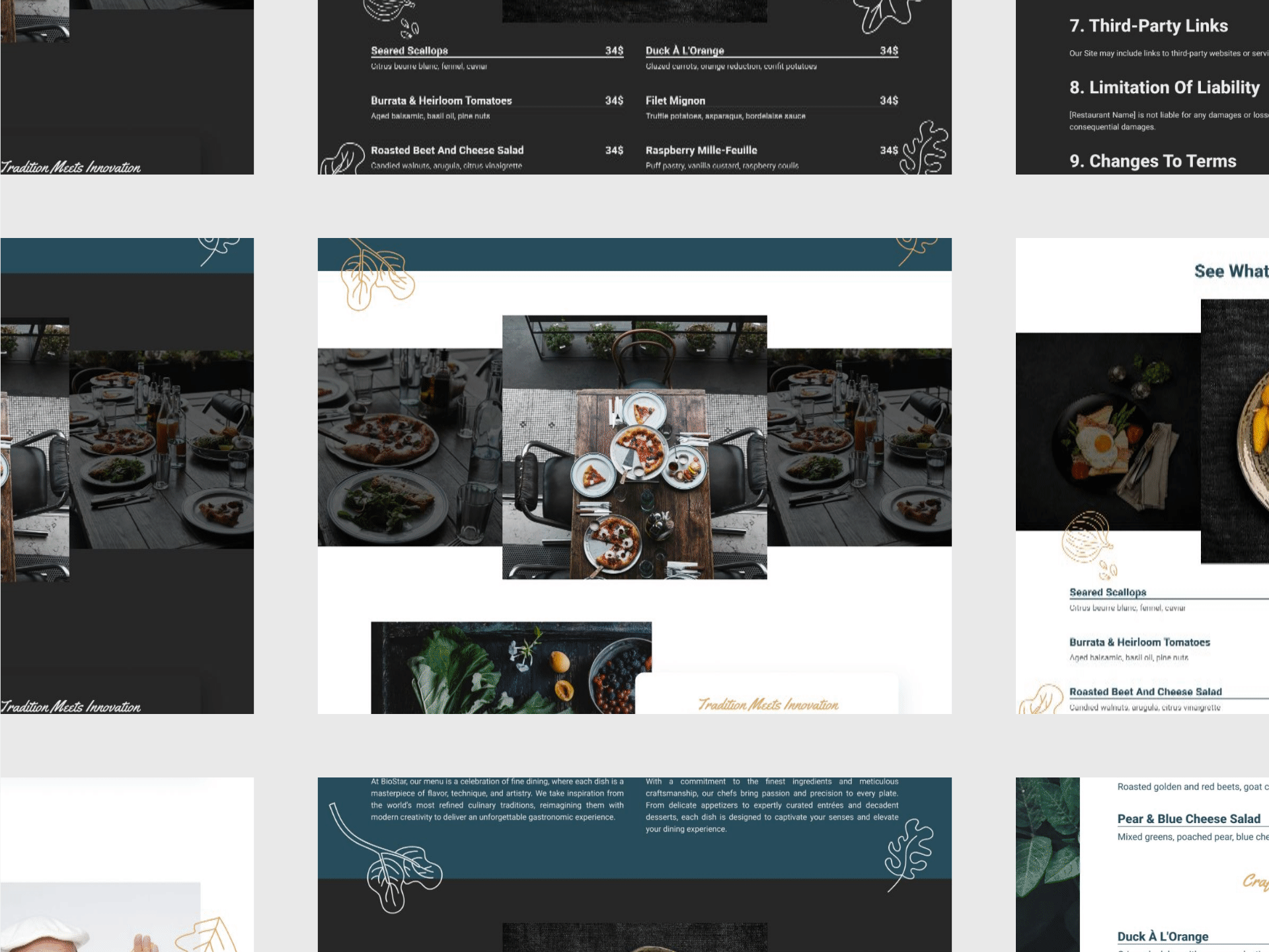 BioStar web screens gallery
