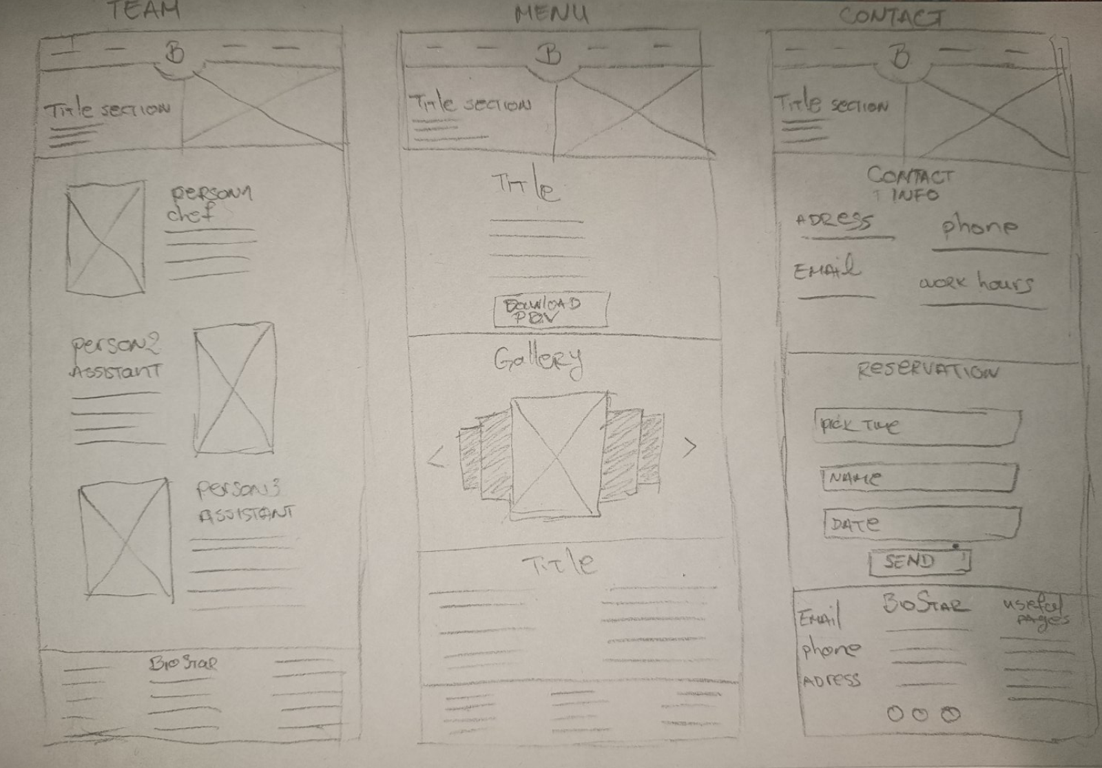 BioStar wireframe exploration